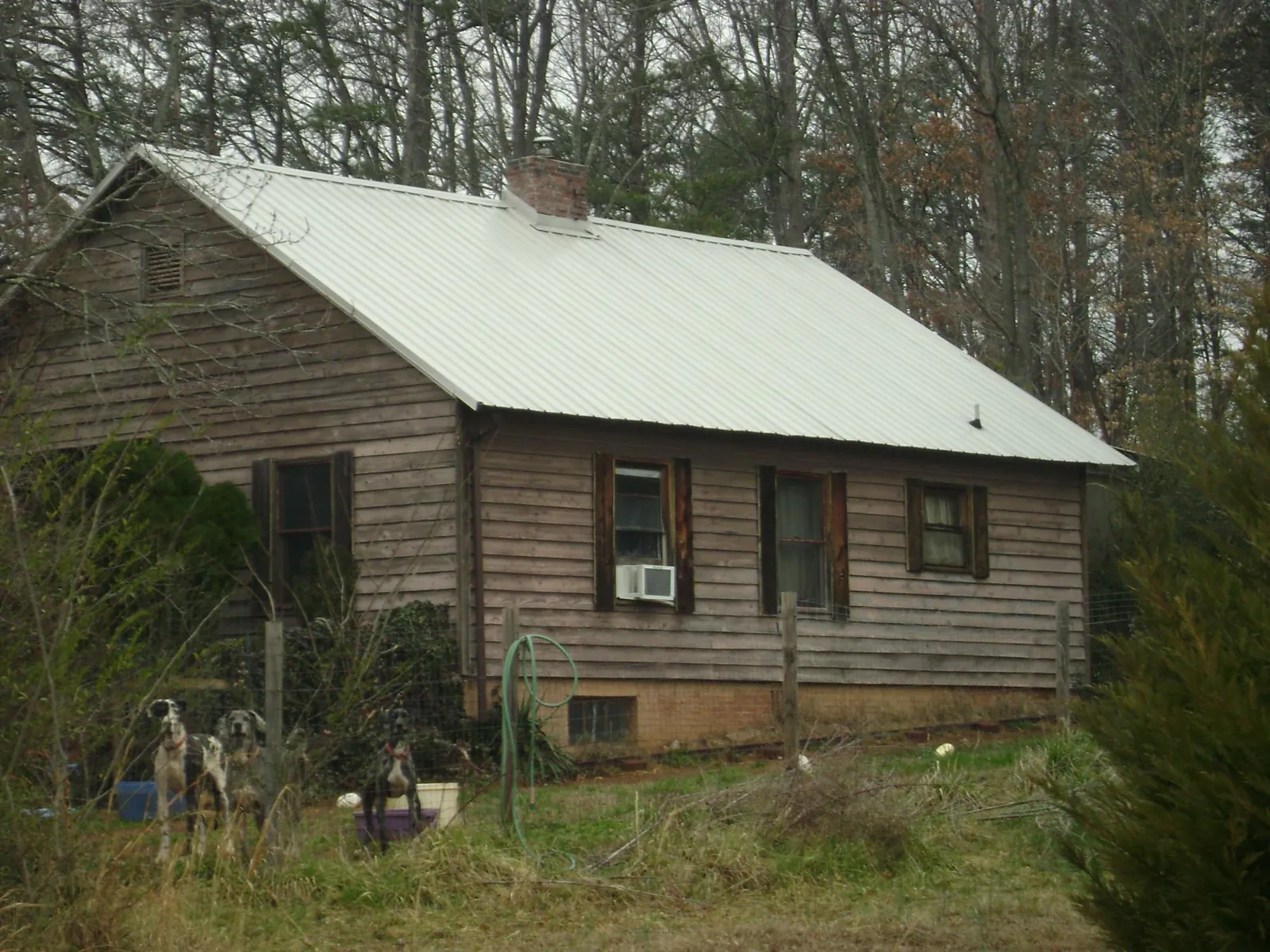 White metal roof on an old wood sided farmhouse, from a Metal Roof Installation job in Scott Bar